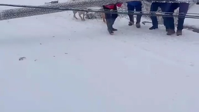 所以说没事不要凑热闹