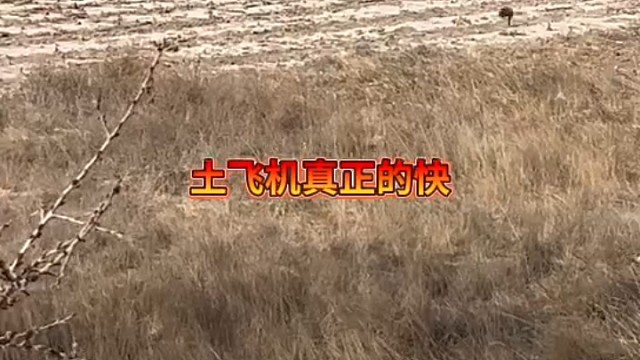 这地形考验实力[赞]