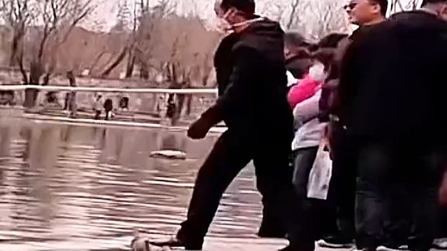 你那句救命啊，笑死我了