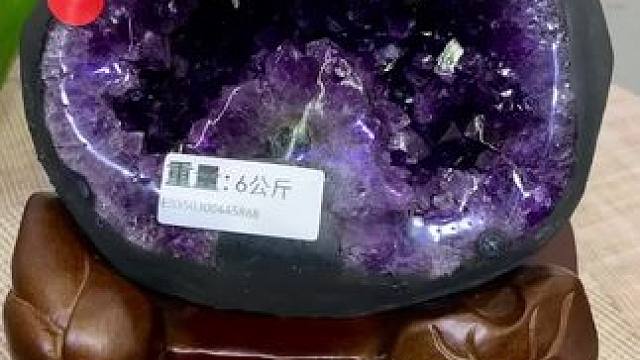 精品太阳花钱袋子鉴赏#九紫离火运 #紫晶洞 #天然水晶 #玄关摆件推荐 #精品摆件