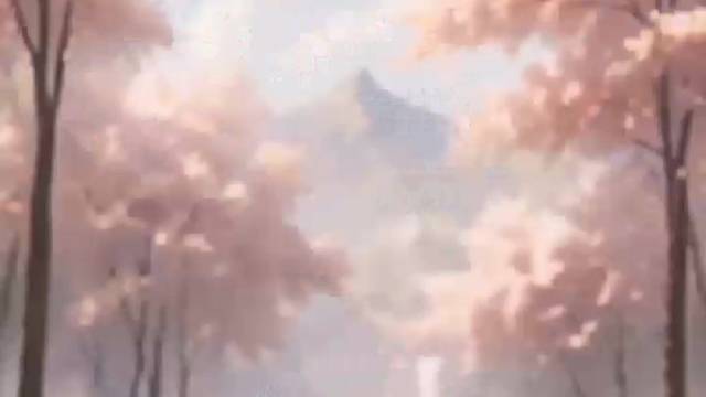 白小童禅修记——《生命的意义进化（3）》