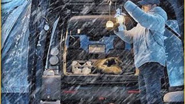 与其忍受孤独，不如来进圈寻找快乐#组CP上进圈