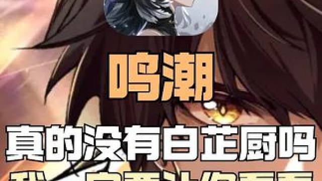 真的没有白芷厨吗？我一定让让你们看看白芷她真的很漂亮！ #鸣潮 #鸣潮奏鸣测试  #鸣潮杂谈 #游戏