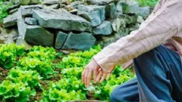 #野外生活纪录片 #户外美食 #真实户外 #来自远山深处的生活 #野外生存