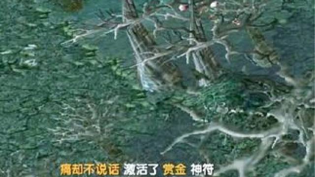 （一）大熊原声大碟，龙虎杯赛前训练，大鱼人教你做大人