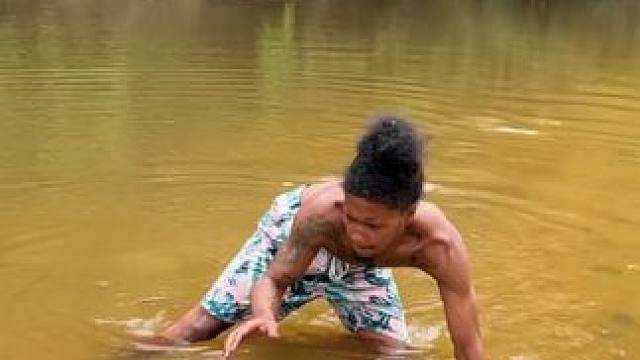 凯门鳄 #国外视频分享 #奇妙的动物 #专业操作请勿模仿