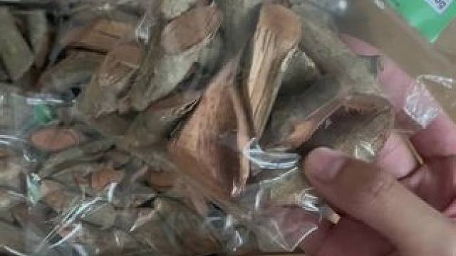 五层龙斯里兰卡才有的植物，人肉背回来了。#斯里兰卡 #五层龙 #五层龙杯子