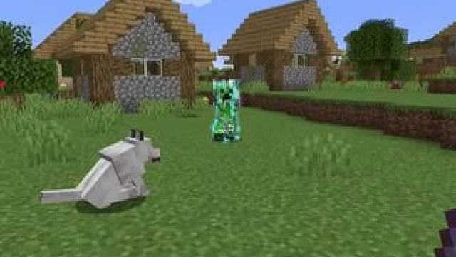 我发布了一个新视频，快来围观吧！