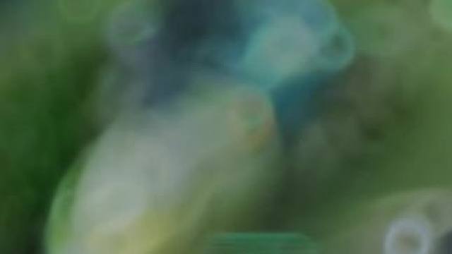 #上热门 #五杀 #日常排位