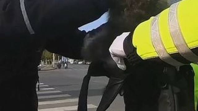 教头带浣熊刷街被交警叔叔拦下来了#浣熊 #机车