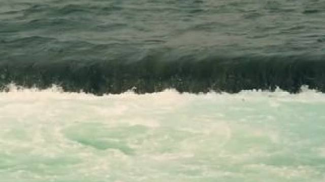 我发布了一个新视频，快来围观吧！