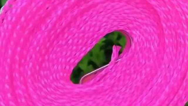 这个防风防滑的晾衣绳，真是方便又实用，有了它再也不怕起风了#晾衣绳 #晒衣服 #晒被子 #实用好物