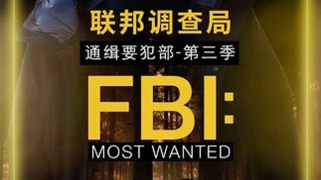 第46集 | 著名记者惨死汽车旅馆，惊天阴谋浮出水面 #美剧 #联邦调查局 #一集一故事 #一剪到底影视解说