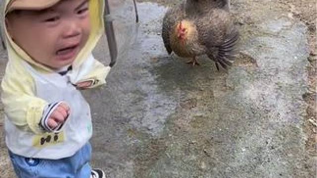 我发布了一个新视频，快来围观吧！