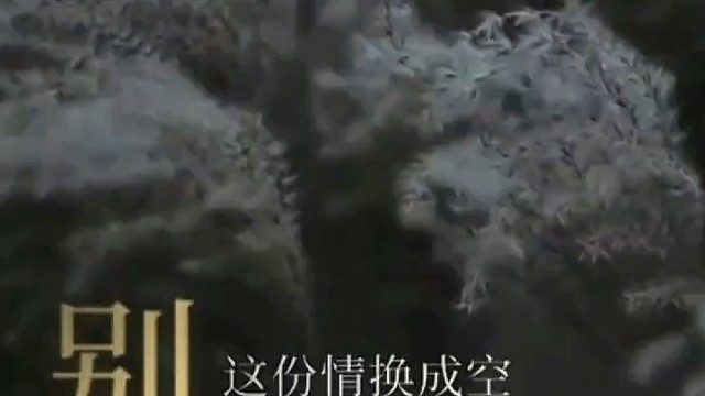 看我打游戏生气？唱首歌哄哄你