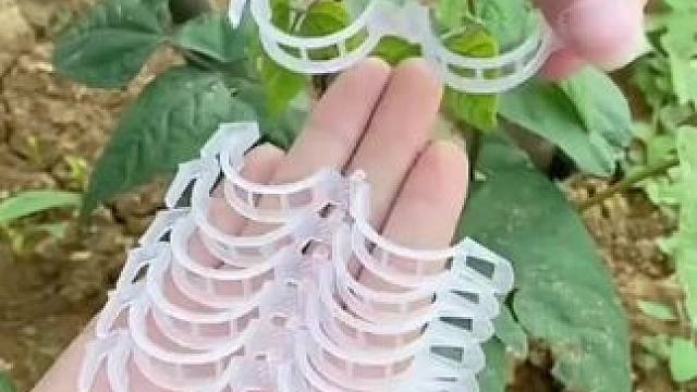 绿植卡扣，喜欢养花种菜的可以备上一些哦#绿植固定器 #绿植固定卡扣 #蔓藤固定夹 #方便又实用