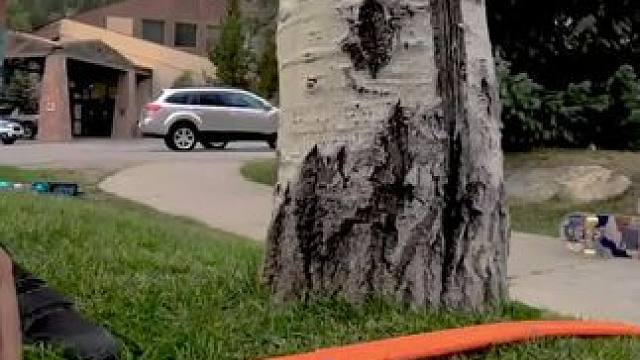 风火轮赛车本身就是一项运动。#风火轮小车 #第一视角 #汽车模型 #汽车文化 #合金车模