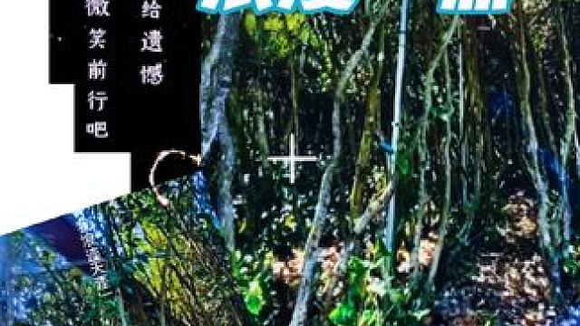 #生活的美无处不在 #最治愈的便是这世间的风景 #听着好听的歌享受大自然的美 #把生活过成诗 #开启