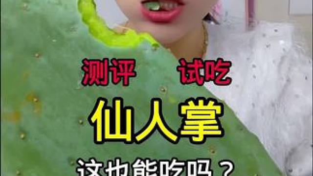 #真实测评 #测评 #试吃