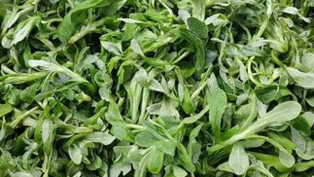 #家乡特色美食 ，，#老人小孩都爱吃 。