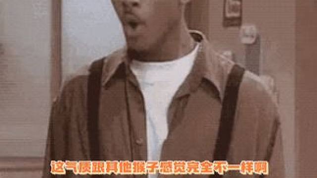 好家伙这气质，好淡然的一只猴~