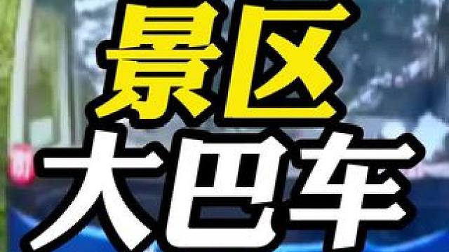 景区大巴司机的技术到底有多牛！