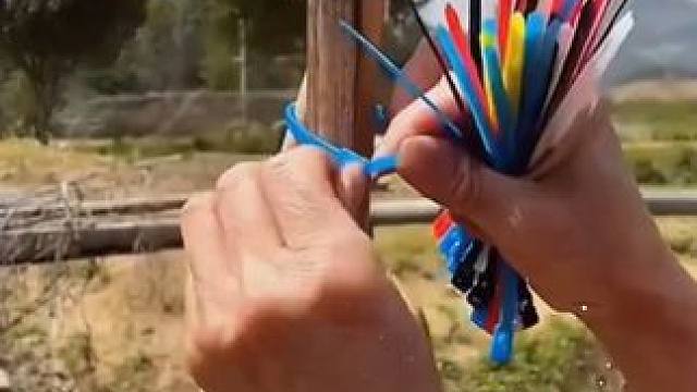 家里种菜，盆栽、收纳都可以用这个彩虹色尼龙扎带，松紧自由调节！可以重复使用#实用好物 #尼龙扎带 #