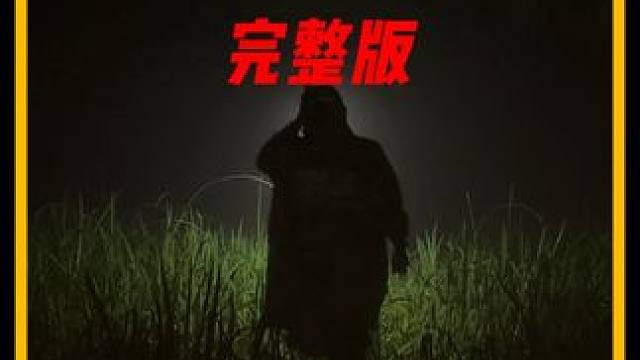 谁能拒绝在睡前看上一集超解压的沉浸式 #雨天露营  呢？