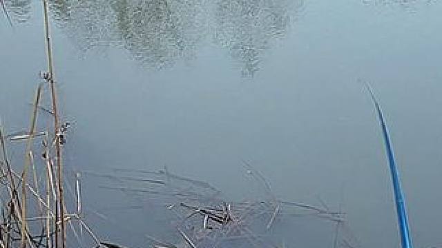 生日在河边求鱼