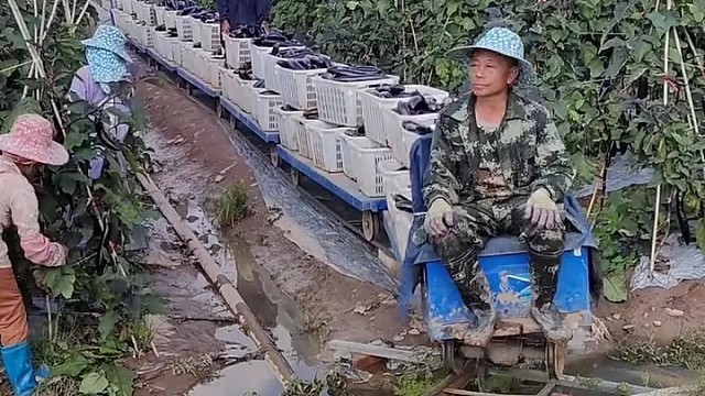 现在的农民太有智慧了[赞]