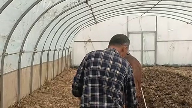 好马帮人干活，好好善待[赞]