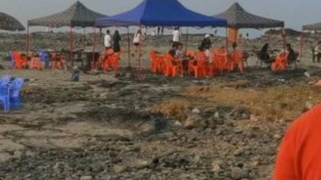 奶奶说好久没回老家了,还捡了螺奶奶说都二十多没去捡螺了。#赶海 #环岛旅游公路 #雷公岛赶海 