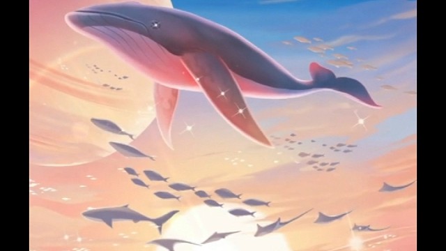 记录我天空的36级