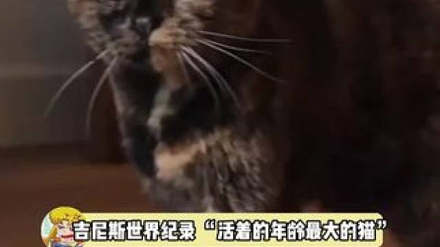 宝宝你是一只健康奶奶，接自家宝宝也健康长寿！