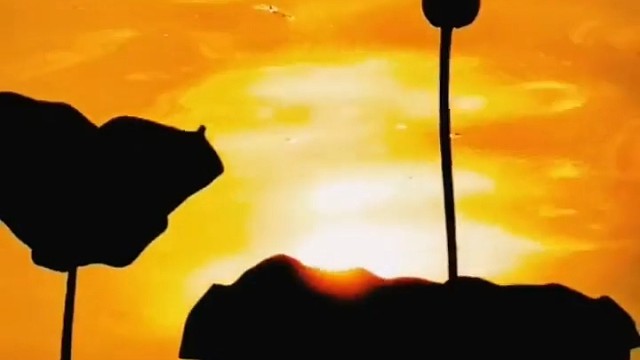 这次我是真的放手了