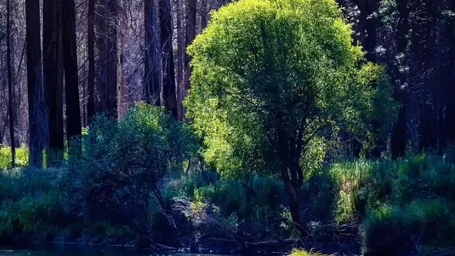 不想让你离开我身边
