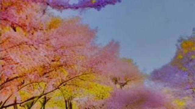 二月再见，三月你好#亲爱的你在哪里 #热门音乐 #百听不厌 #音乐分享