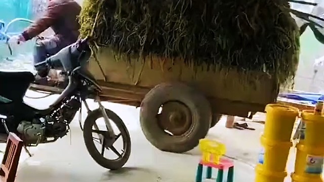 这是不到黄河不死心，不撞天棚不回头啊？