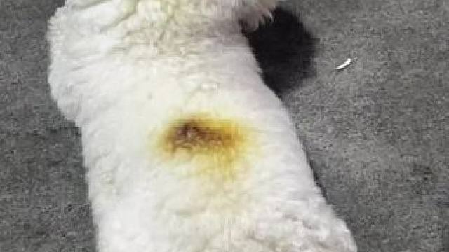 我发布了一个新视频，快来围观吧！