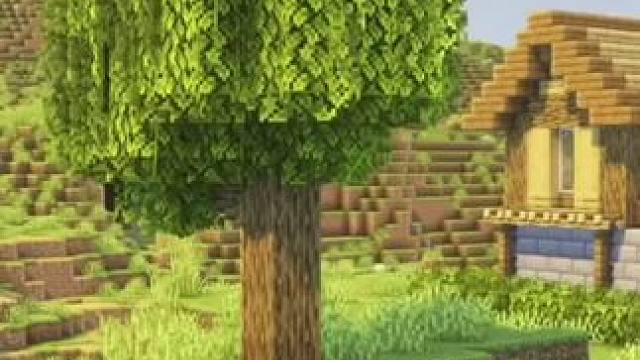 #Minecraft #我的世界