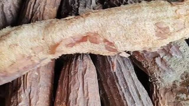 #勤劳的农村人 。