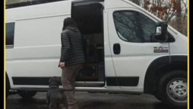 一人一狗停停走走，这样的房车露营你打几分 #房车旅行 #露营生活