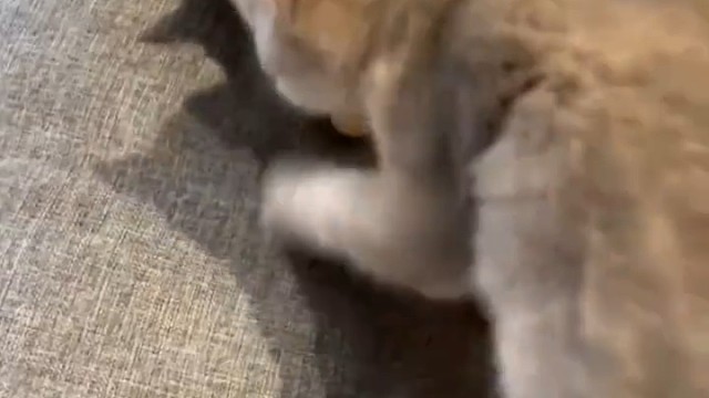 第一个被艾特的人会和你成为第一好！