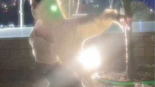 自由是灵魂的氧气