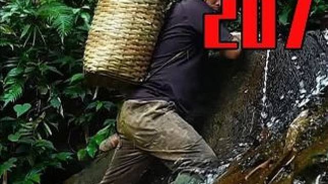 在热带雨林中独自生存挑战 EP.207-制作竹椅，享受熏鱼