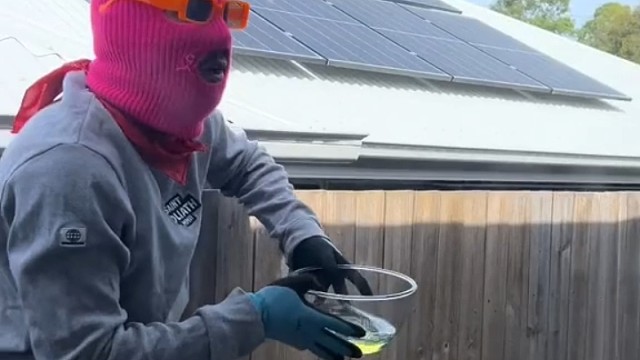 用汽油消灭黄蜂，头次见识到