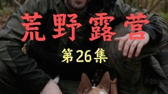 沉浸式体验野外露营庇护所建造 #野外建造 #野外生存 #荒野求生