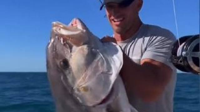 钓到一条大鱼还被打劫了一半#国外视频分享 #钓鱼的乐趣只有钓鱼人懂 