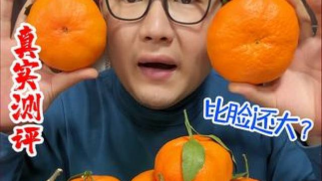 比脸还大的柑橘皇后？真的好吃吗？ #美食测评 #柑橘 #老胡的美好生活