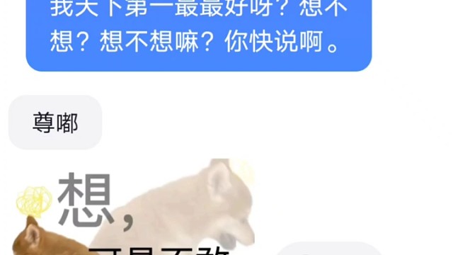 天下第一坠坠好